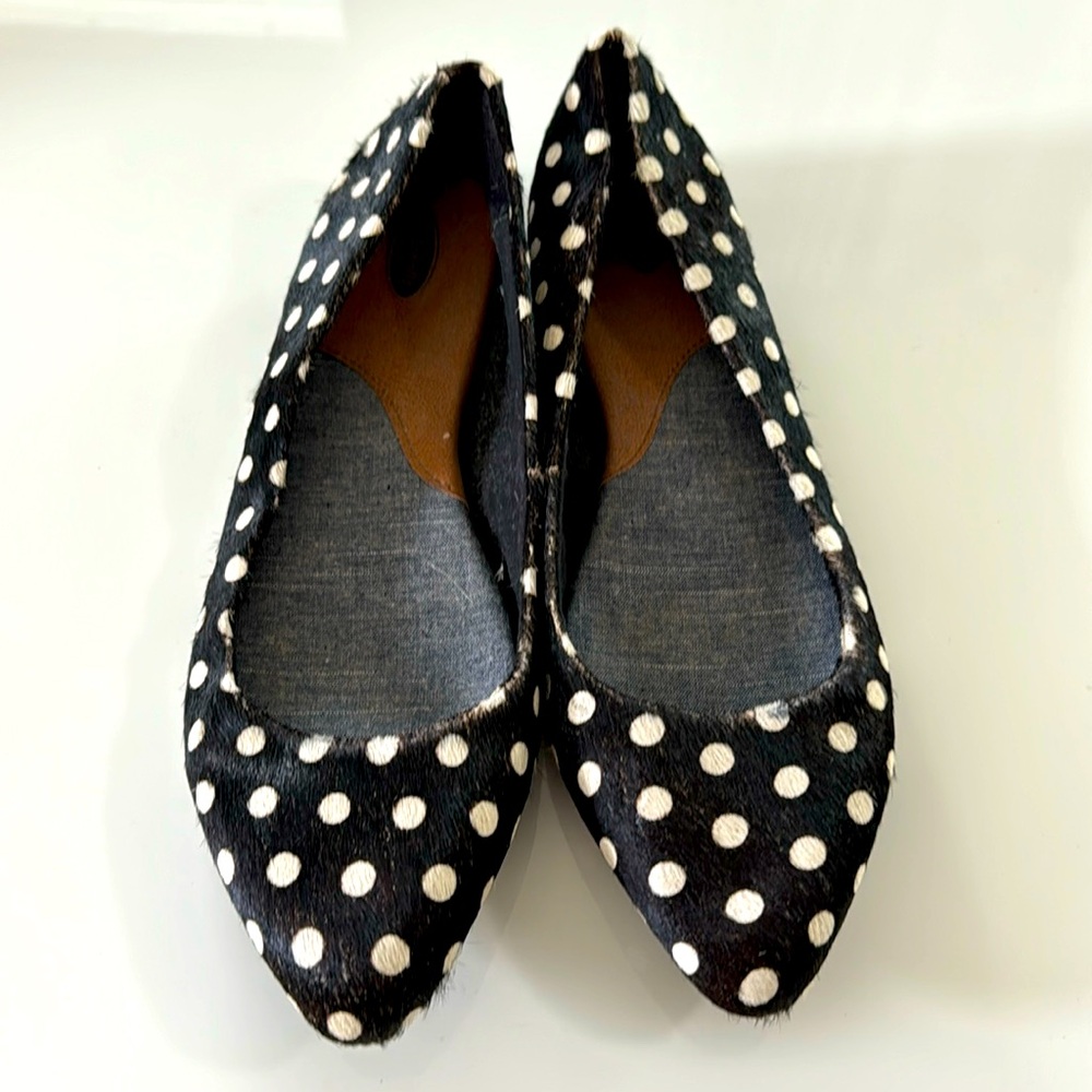 Dr scholls